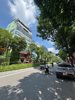 bán nhà mặt phố lạc long quân, tây hồ, 63m2, mặt tiền quyền lực 14m, 4 tầng, 46.5 tỷ