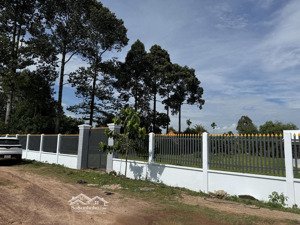 bán đất tại 1/ đường tỉnh lộ 7, xã thái mỹ, củ chi, hồ chí minh, 2,3 triệu/m2, 8.476 m2