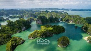 bán shophouse hoàng quốc việt, 255 triệu / m2, 1595m2, bãi cháy, hạ long, quảng ninh, giá tốt