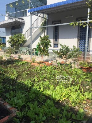 cần bán 1200m2 nhà vườn thổ cư 600m2 đường 177, xã bình mỹ, củ chi tp hồ chí minh