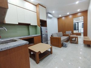 cho thuê căn hộ mới tinh 1pn trung tâm cầu giấy full đồ_ban công gần bigc, vincom trần duy hưng