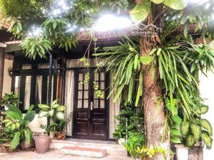 đất rộng, mặt tiền lớn: dt 505m2, ngang 13,1m - tặng nhà đẹp - gần sông hàn, biển mỹ khê, đh kt