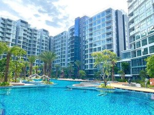 cho thuê căn căn hộ 2pn diamond centery celadon city nhà mới, vào ở ngay