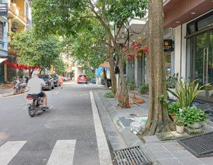 bán nhà p.lô đầm trấu 55m² x 7t, mt5m -32 tỷ t.máy-gara-kd