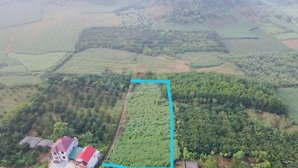 cần bán 2000m2 đất ở 130m2, tú sơn, kim bôi, hòa bình