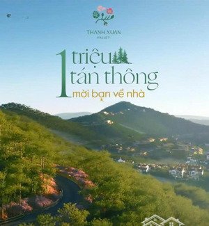 độc quyền 2 căn liền kề - biệt thự spring diện tích 147m đất & sân vườn xanh giữa rừng thông