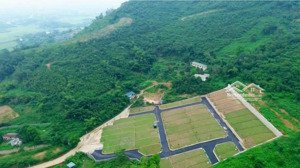 em đang có săn các lô đất diện tích từ 100m - 300m tại xã phú cát, hn. giá cực kỳ hấp dẫn