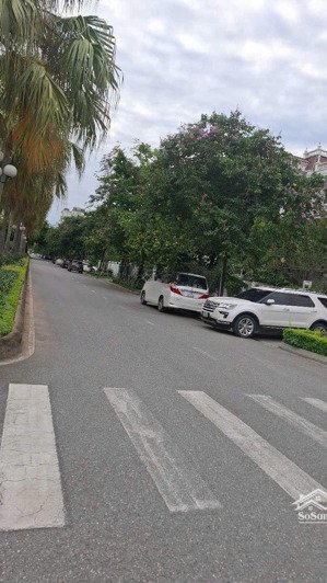 bán biệt thự trục chính ciputra đẹp nhất khu, giá chỉ 95 tỷ 