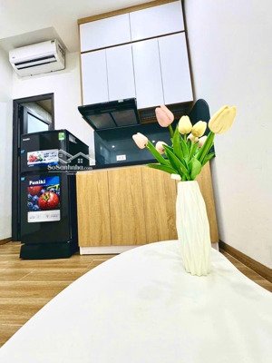 chung cư mini - mới đẹp - lĩnh nam - gần trường - chợ - ô tô con lùi tận cửa - 10 m ra ô tô