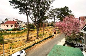 bán biệt thự 5pn, 6wc, 222m2, 22 tỷ tại cô giang, p9, đà lạt, lâm đồng, chính chủ