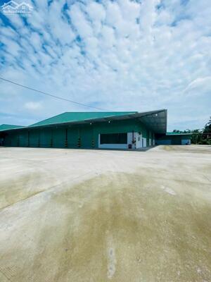 kho cho thuê diện tích lớn 10.500m2 đường võ nguyên giáp full chức năng.
