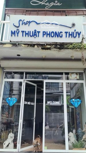 cho thuê nhà mặt tiền đường bắc hải thuận tiện kinh doanh các ngành nghề