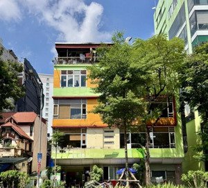 cc gửi bán mp trần đại nghĩa đoạn đẹp nhất, mt khủng 11,5m - 6t x 75m, sẵn dòng tiền