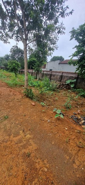 lô góc_ đất vuông yên bài_ba vì | 2.700m chỉ 3,6triệu/m