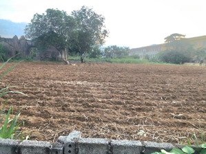 đất yên bài (vân hòa cũ), ba vì, 1100m2 có 250m2 thổ cư giá: 6,5tr/m2