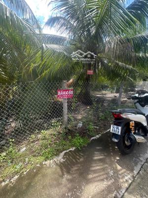 bán nền biệt thự trung tâm tp. bến tre (500m2 ngang 11m)