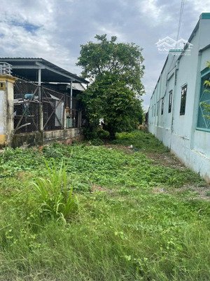 đất mặt tiền kinh doanh đường ba sa, phước hiệp, củ chi 154m2 giá 1,79 tỷ sổ hồng riêng