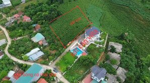 đất minh quang sát trục chính, cách tl415 chỉ 500m, sát vách căn villa đối diện sân bóng có mái che