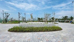 vinhomes dương kinh giá từ 5 tỷ 4 tầng, vị trí vàng, chiết khấu sâu, quà tặng khủng