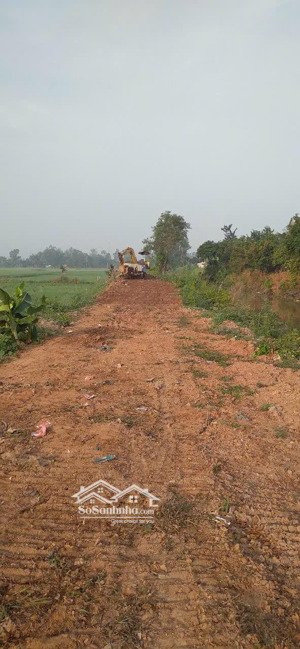 bán đất lúa - phường bình khánh cũ - tp long xuyen - an giang