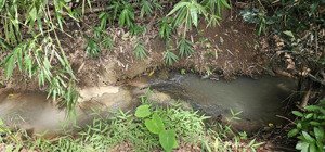 bán mảnh vườn trái cây đủ loại, giáp suối, 160m2 thổ cư