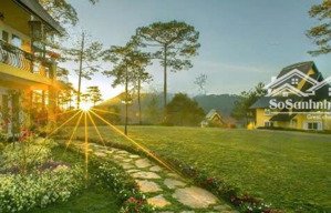 cần bán gấp đất trung tâm đà lạt, phạm hồng thái 1027m2 ngang 31m giá 42 tỷ