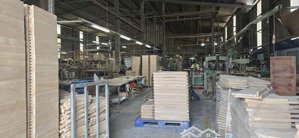 ban gấp xưởng 7000m2, full skc, tân đông hiệp,tp. hồ chí minh. giá 79,9 tỷ