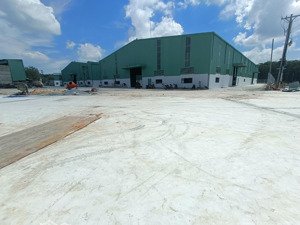 cho thuê xưởng phước hòa, phú giáo, bình dương
