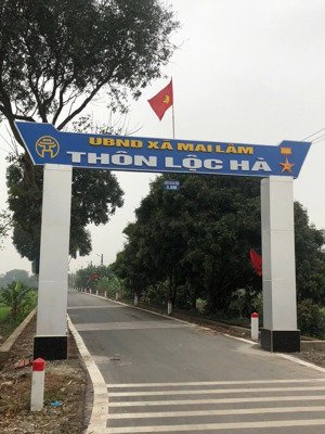 đất đẹp đông anh cách cầu tứ liên 400m giá tốt cho nhà đầu tư!