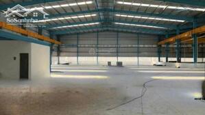 Cần sang ngay miếng đất mặt tiền đường quốc lộ 80, Bình Thành, Lấp Vò, Đồng Tháp giá thị trường