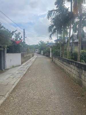 bán đất 389.7m2 tại thị trấn ba hàng đồi, lạc thủy, hòa bình, giá 1,7 tỷ