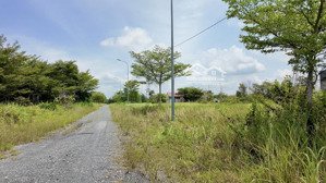 tiền tỷ có đáng giá! liên kết vườn xẻ khe thoáng mát đối diện công viên trục đường vành đai 4