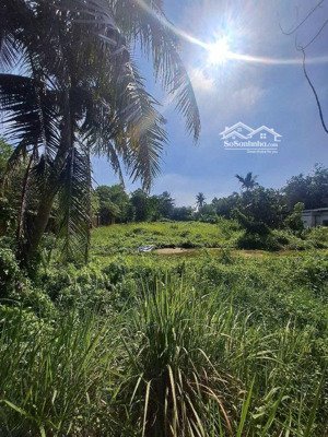 bán đất tại thạnh xuân 52, 40 tỷ, 4000m2, giá siêu hời, uy tín