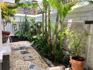 bán gấp biệt thự hiếm khu sân bay, phường tân sơn nhất - 218m2 (12 x 18) sổ vuông - ngay ga quốc tế