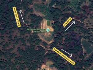 bán farmstay xuân thọ, đà lạt view rừng thông, hồ nước mạch, hạ tầng sẵn