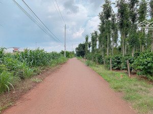 bán khoảng 1 sào (1057m2) đất xã bàu chinh, huyện châu đức, brvt. giá 1 tỷ 350tr