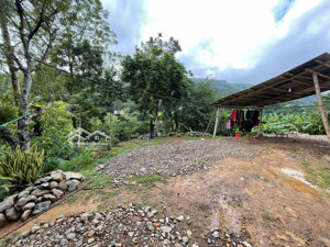 chính chủ em bán 1837m2 có 400m2 tc sẵn nhà tại kim bôi, hòa bình