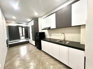 bán nhà siêu phẩm chung cư mini mới xây thang máy 6 tầng 15 phòng 58m 13,8tỷ vĩnh phúc ba đình