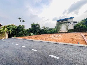 hàng f0 ngay cổng làng mít cổ đông, sơn tây, hà nội giá f0 giá rẻ