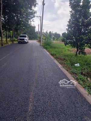 đất định an cách hồ dầu tiếng khoảng 7km