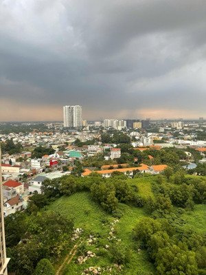 bán cc opal skyline, 1,25 tỷ vnd, 40m2, đường nguyễn văn tiết, bình dương