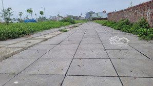 bán đất đấu giá tại đường thụy lâm, đông anh, hà nội, 7,7 tỷ, 87,5 m2, uy tín