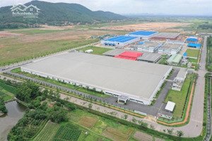 bán đất đấu giá nhà nước khu tân mai, đông mai, quảng ninh sát khu công nghiệp đông mai