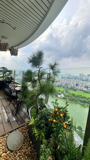 em bán căn hoa hậu view trực diện công viên hồ điều hòa, tòa n01t8 ngd, 122m2, 3pn, full nội thất