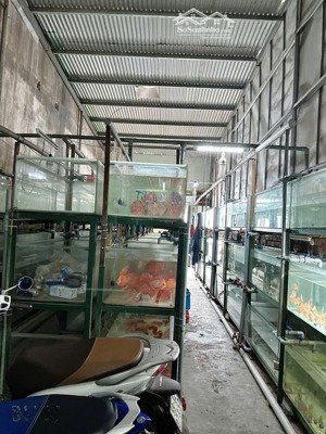 lô đất đẹp lê đức thọ, p.14 gò vấp full thổ cư chỉ hơn 70tr/m