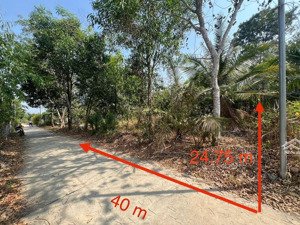 ngân hàng thang lý mặt tiền 42m đường beton tại phú điền, tân phú, đồng nai