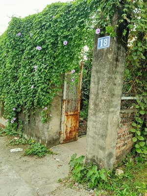 cho thuê nhà riêng 82m2 tại đức diễn, phú diễn, bắc từ liêm, hà nội giá rẻ 4tr5/tháng