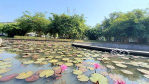 chính chủ bán gấp hai căn biệt thự đơn lập hà đô charm villas.một căn vuông, một căn góc. vip.