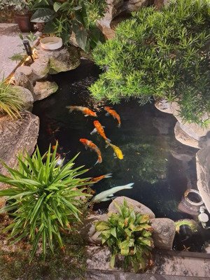 cho thuê căn biệt thự song lập gamuda gardens đầy đủ nội thất giá mềm 