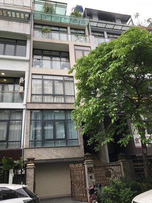 cho thuê liền kề hdmon hàm nghi . dt : 96 m * 6 tầng . mt : 6m . thông sàn, thang máy